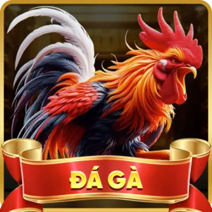 Quản lý tài khoản K9CC
