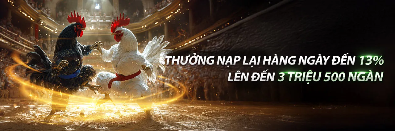 Các loại kèo cược và hình thức đá gà trên K9CC Android