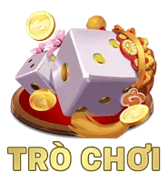 Quà tặng sinh nhật và lễ tết